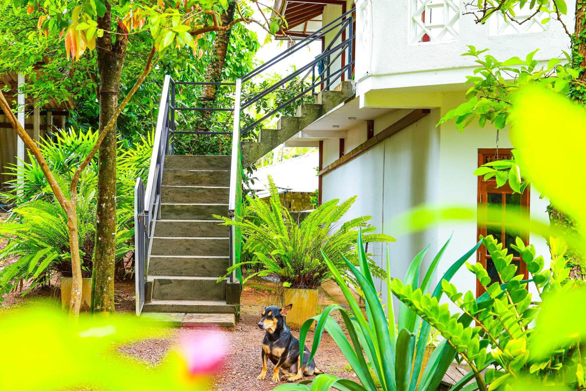 Dil'S Place Beruwala Exterior foto